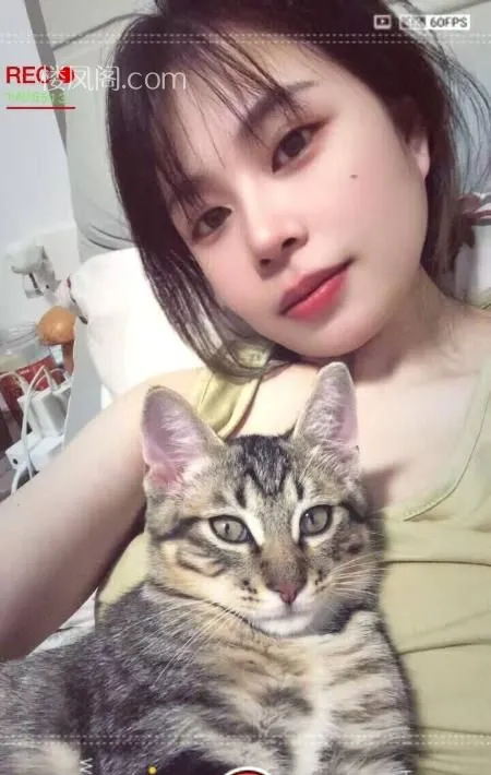 青云谱260泻火嫩妹